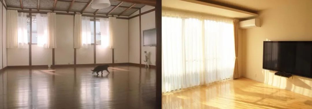 这部“变态”日剧，早该让我妈看了...