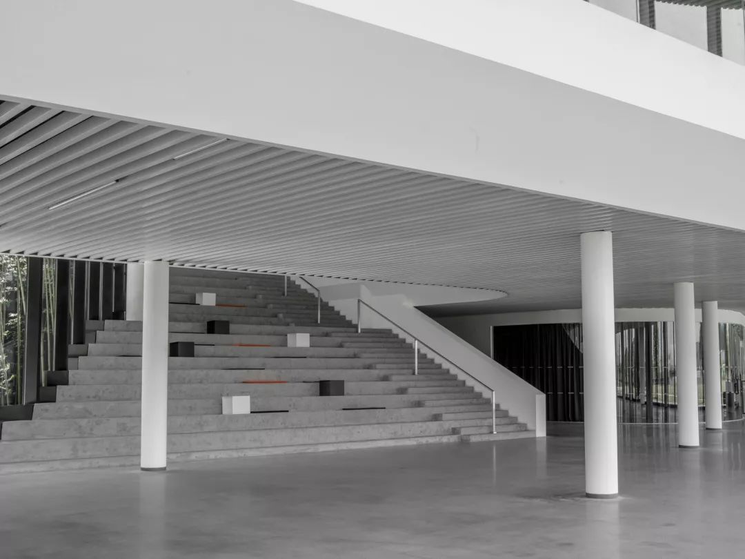 星启未来文化传媒邛崃,星启未来设计展示