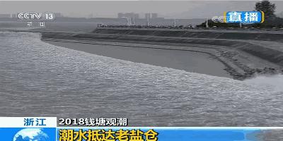 比去年大!八月十八钱塘江大潮来了!这份最全观潮攻略请收好