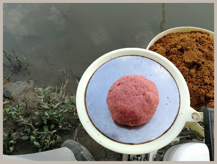 异地最后一次作钓，江鳊鱼获全部送邻居