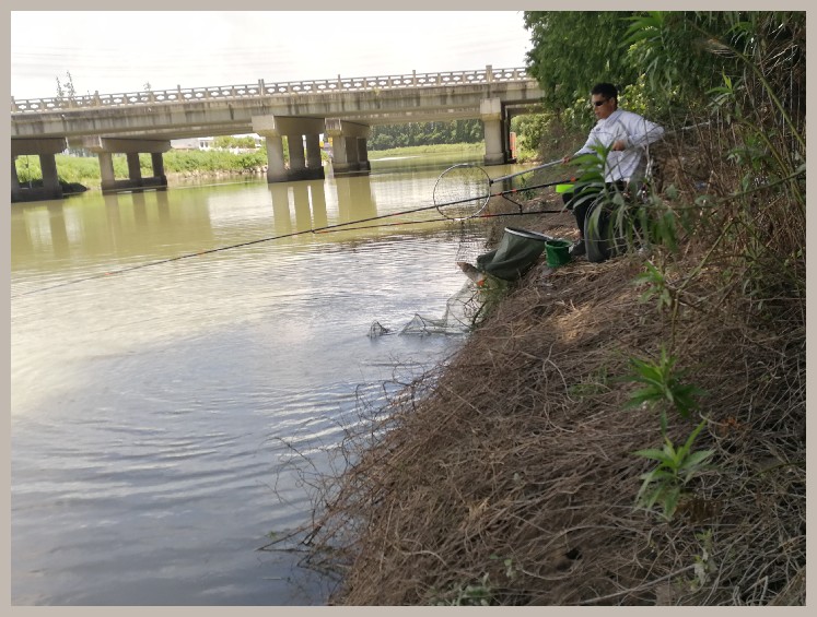 异地最后一次作钓，江鳊鱼获全部送邻居