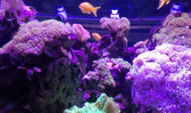 郑州适合情侣泡温泉私密的酒店,在郑州情侣适合去哪种地方游玩