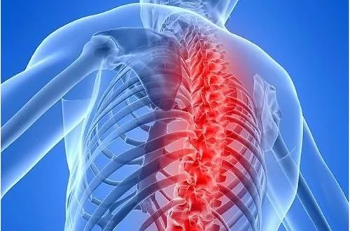 今日科技话题：二次再热发电技术、强直性脊柱炎新药研究、海洋生物要素在线监测、“地球大氧化”、自闭症诊断、体细胞突变