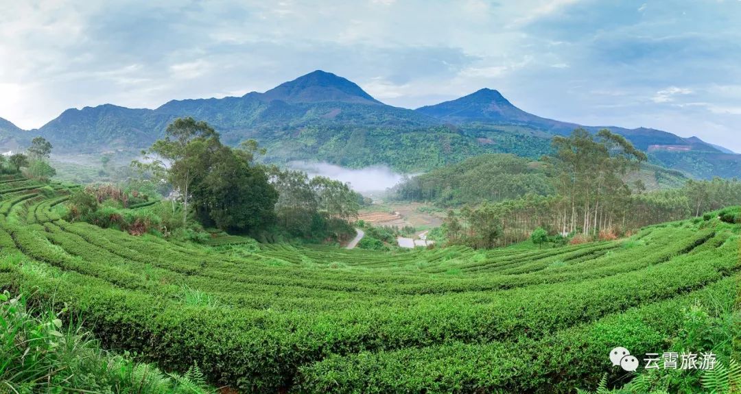 吃喝玩乐云霄,云霄吃喝玩乐一日攻略