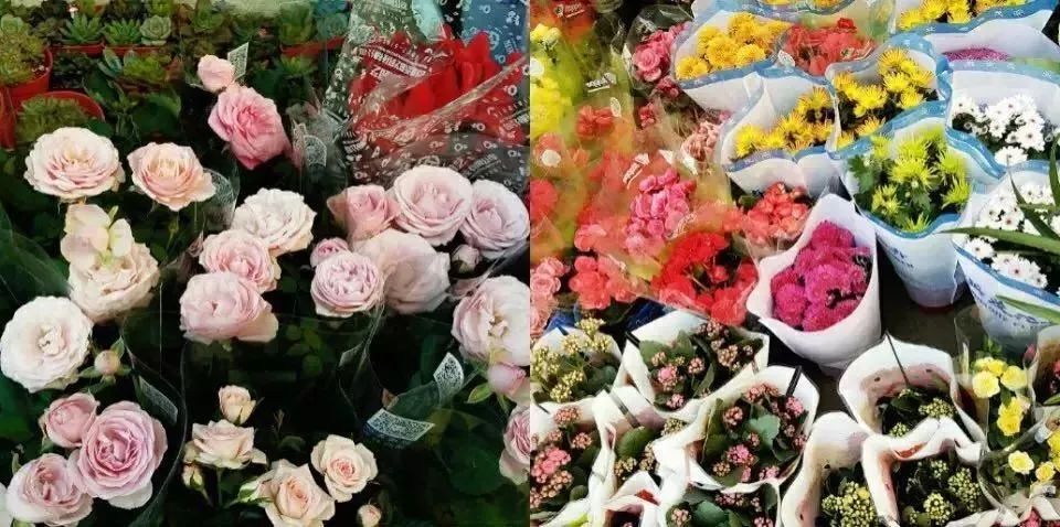 厦门城市漫步好地方,厦门漫步好去处