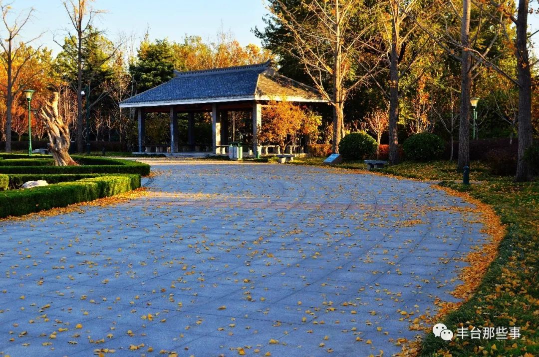 丰台新增的8处公园都在哪,丰台新建综合公园