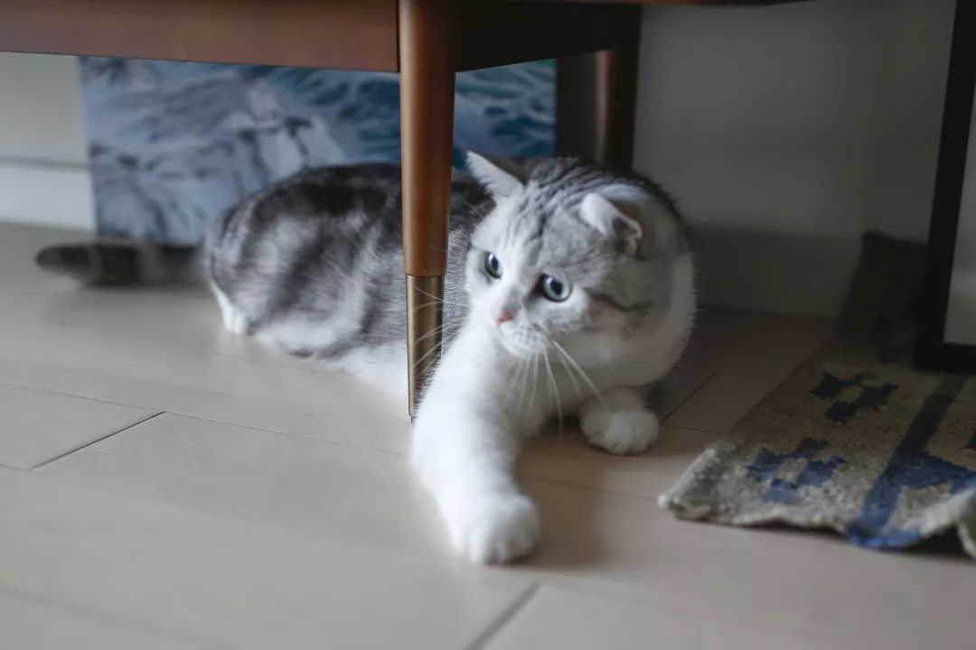 骞哥涔︾睄鎺ㄨ崘涔﹀崟,骞哥璇荤墿