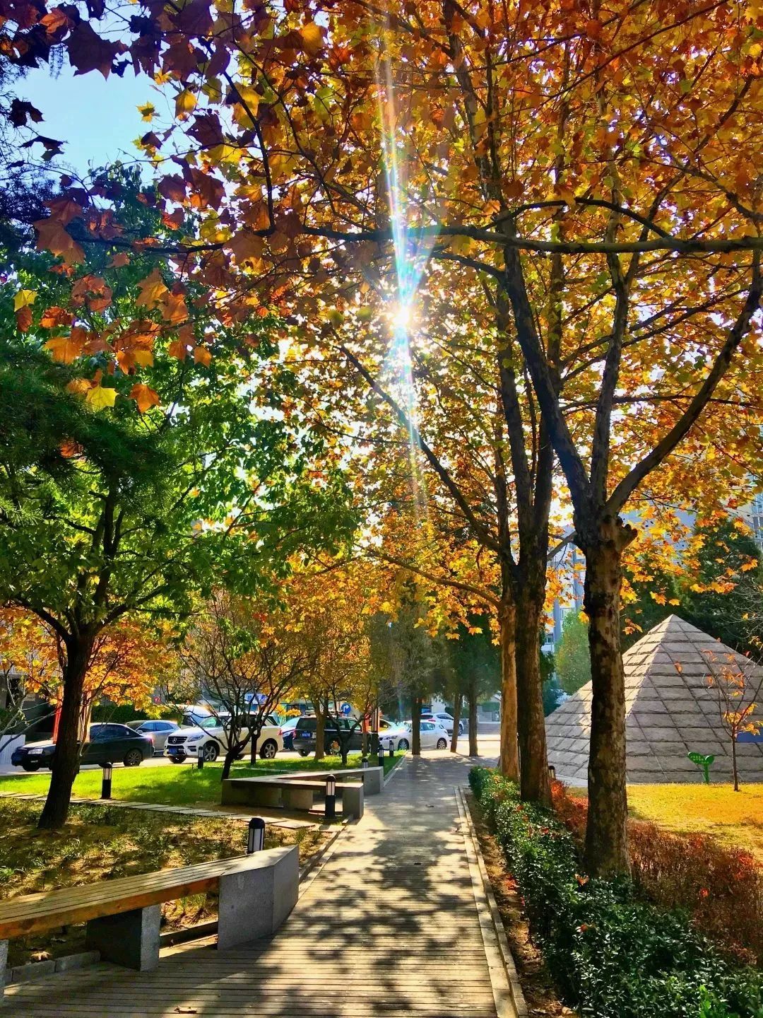 推免读研，圆电影梦｜北京电影学院2020年接收优秀应届本科毕业生免试攻读硕士学位研究生招生专业目录