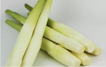 舶来品是真的吗,海外舶来品