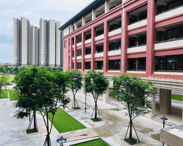 佛山各学校平均分,佛山600分以上学校