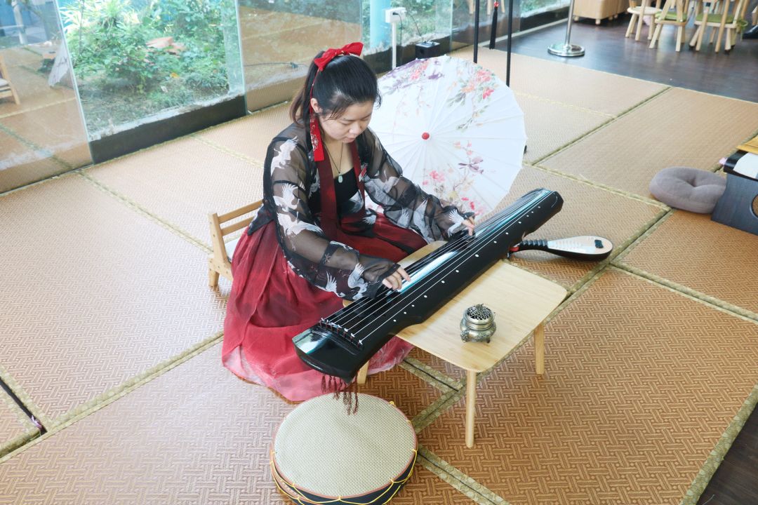 南沙百万葵园免费吗,南沙百万葵园开放时间最新