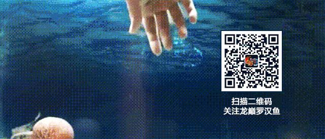 梭菌性肠炎的症状用什么药治疗,慢性肠炎怎么治疗好能彻底去根