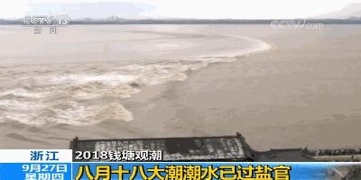 比去年大!八月十八钱塘江大潮来了!这份最全观潮攻略请收好