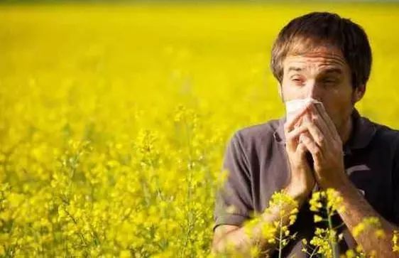 白露节气容易得什么病,24节气白露一夜清冷沐秋风