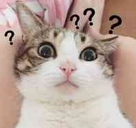 100平房子最简单装修需要多少钱,100平方装修加中央空调地暖预算