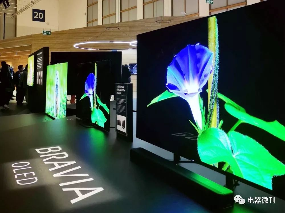 IFA驿报丨日韩品牌——坚守风格有定力