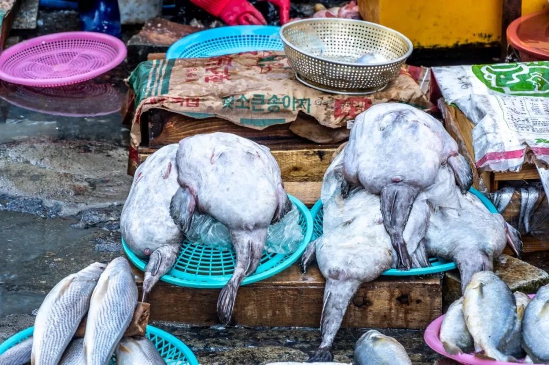 闊╁浗娣卞缇庨鏀荤暐,闊╁浗澶滄櫄缇庨鏀荤暐