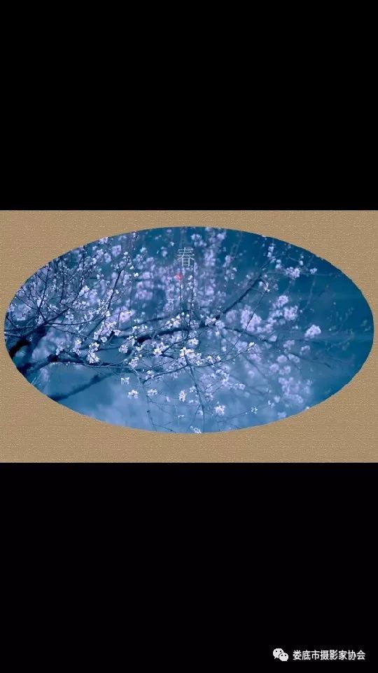 生态娄底美丽家园——【壮丽70年奋斗新时代】娄底首届风光摄影作品展览生态小品作品选登