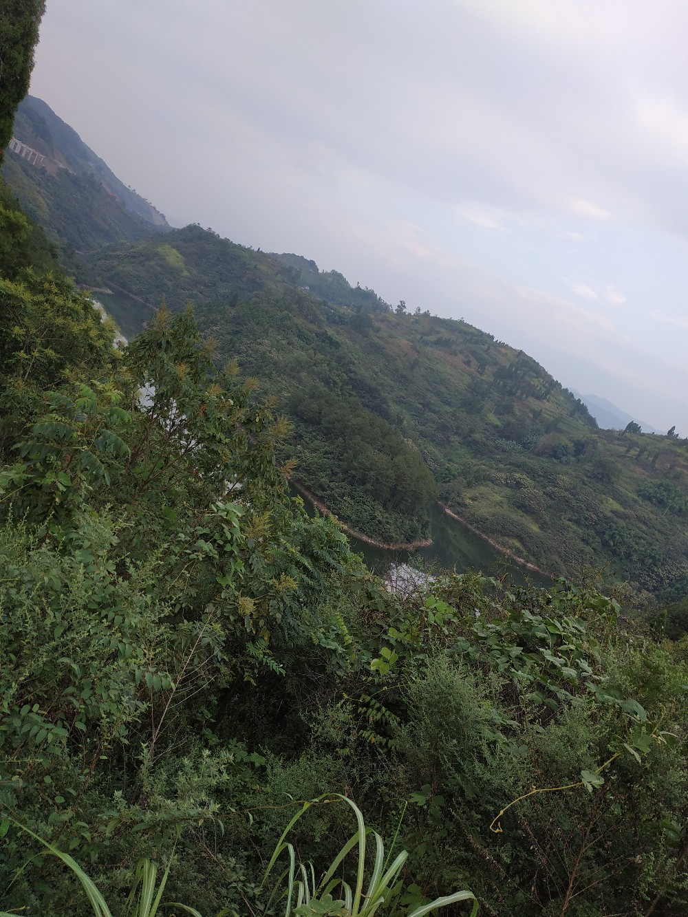 如何把握钓鱼时间,一天钓鱼最好时间段是中午吗