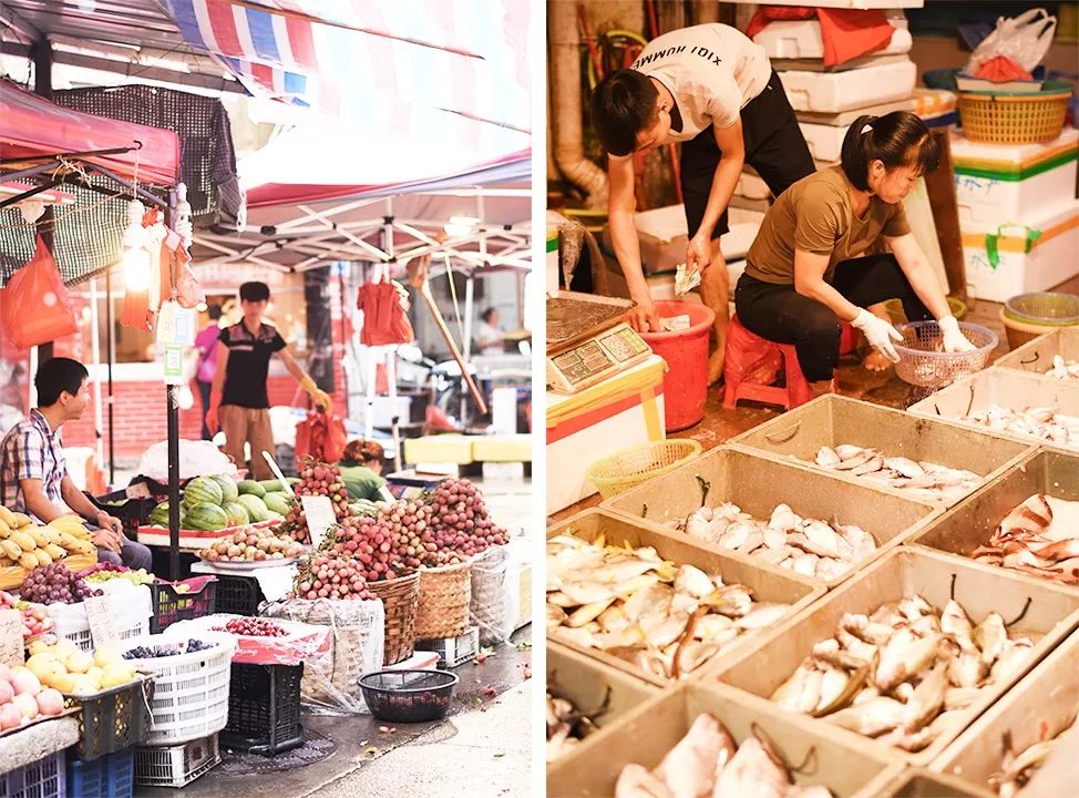 厦门自助旅游食住攻略,厦门旅游吃什么实惠