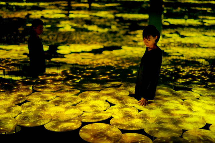 99元秒杀,99元秒杀价格