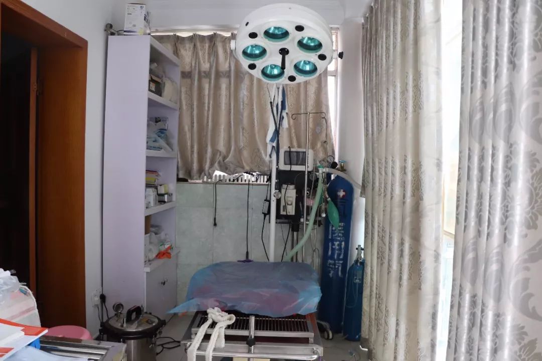 丽江宠物基地,丽江最好的宠物医院