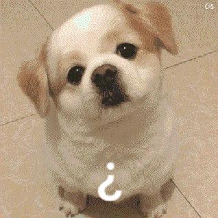 100个双11清单,双11清单100分