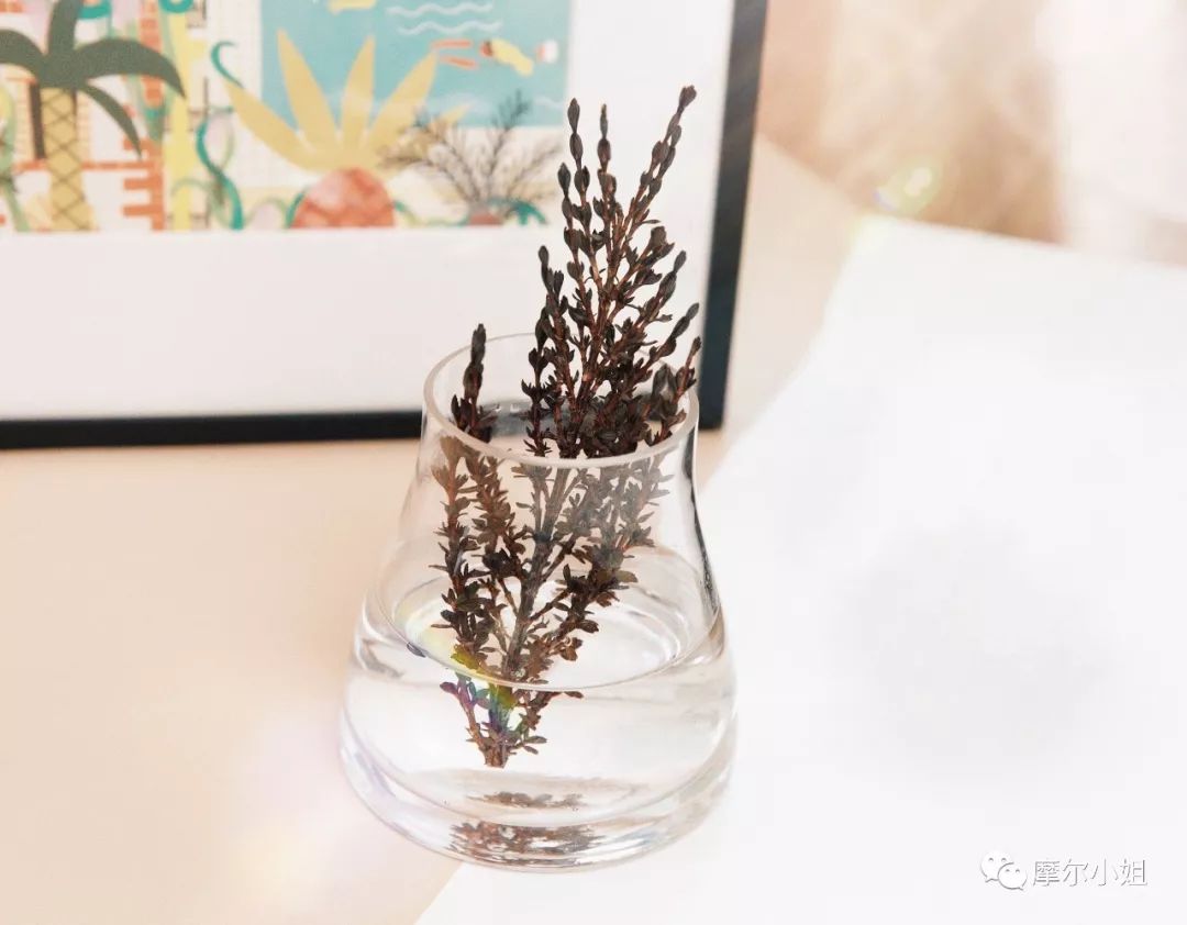 4款好用的贵妇面霜测评,2023贵妇面霜测评排行榜