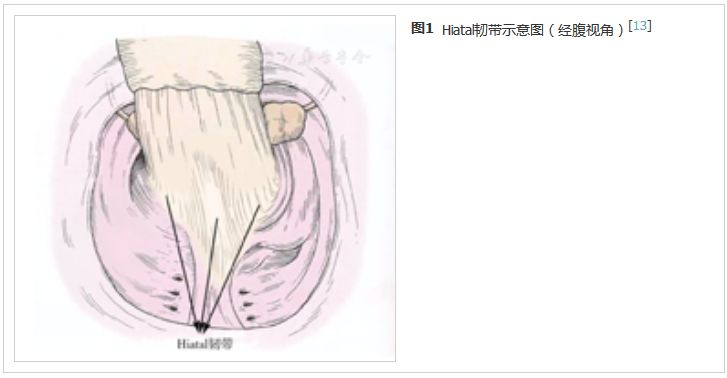 直肠吻合口狭窄内镜下切开术,经肛全直肠系膜切除术哪里可以做