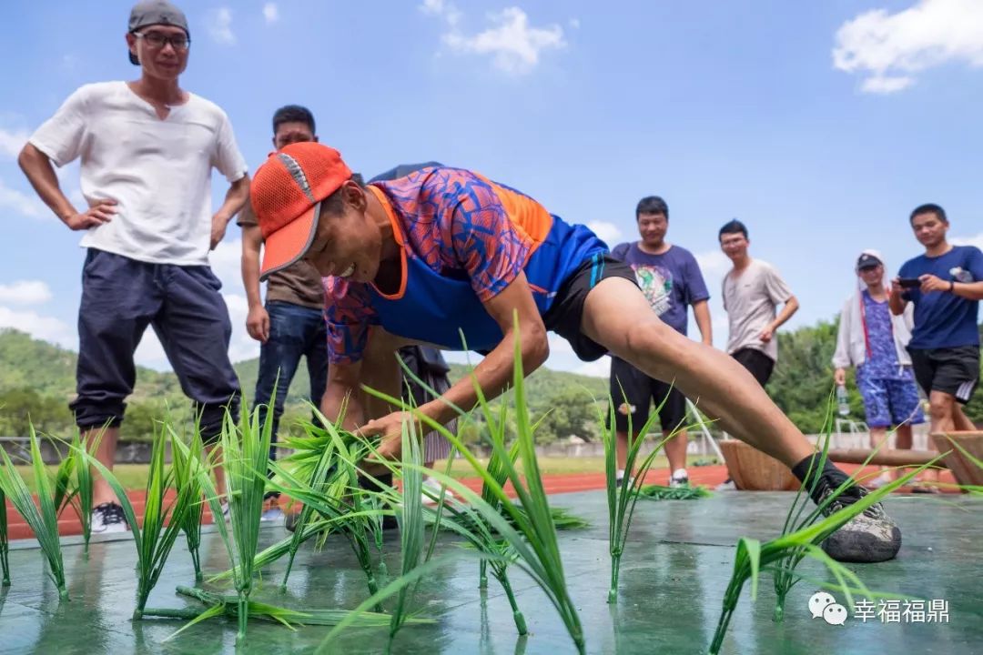 丰收节即将开始,农民丰收节即将开幕