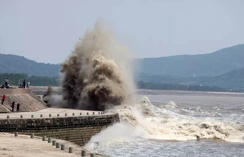 但愿人长久千里共婵娟跟中秋有关,但愿人长久千里共婵娟是写中秋吗