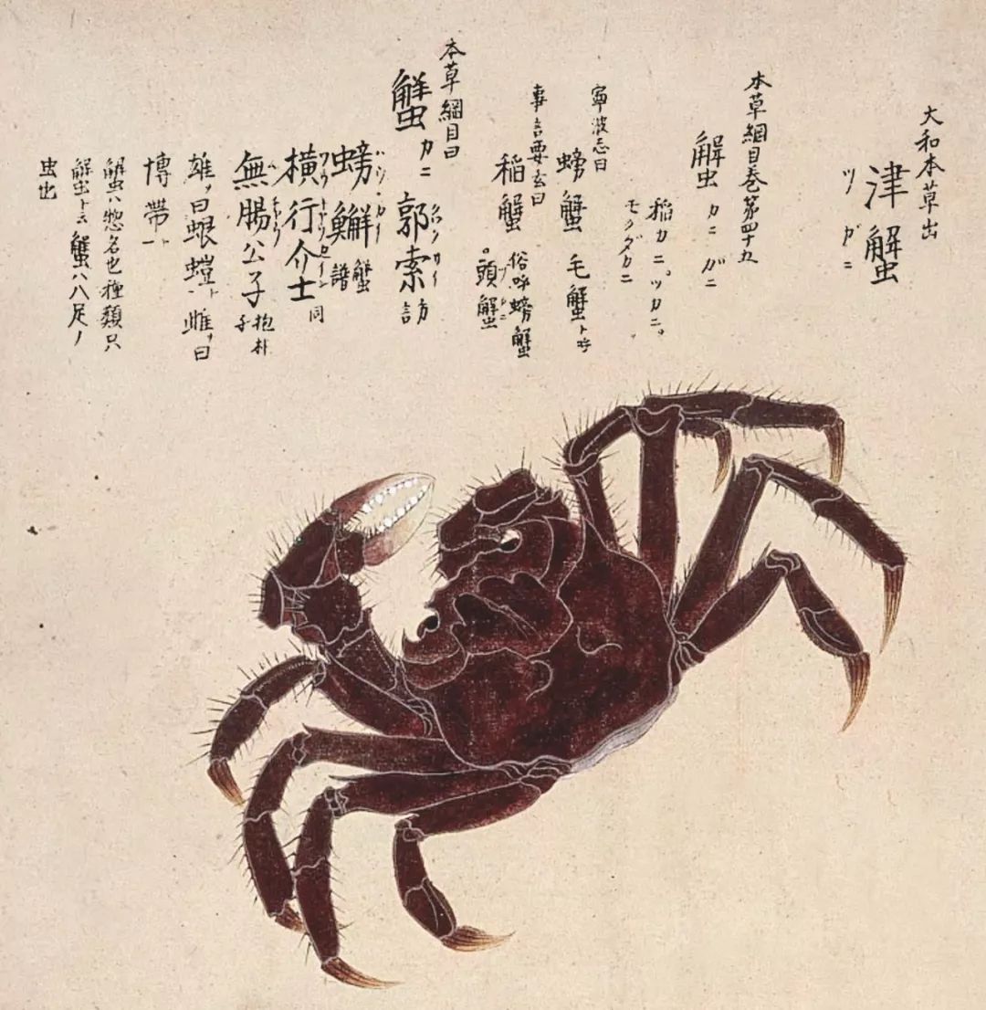 大闸蟹做法简单又好吃,鹤龙湖大闸蟹哪家好吃