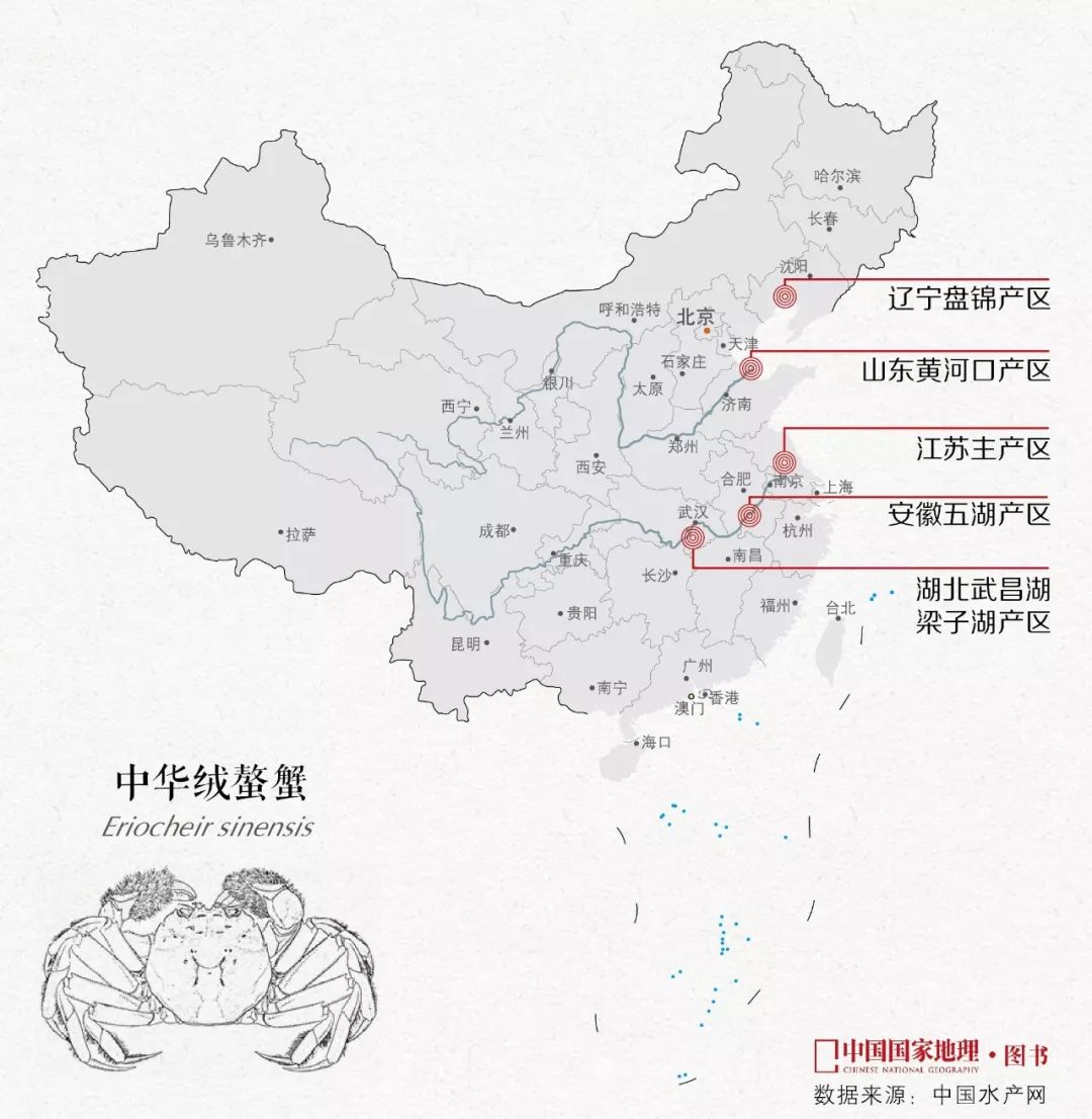 大闸蟹为什么这么好吃,大闸蟹公好还是母好吃