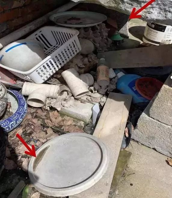 预防登革热时刻在行动,科普清理小积水防控登革热