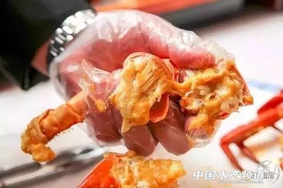 21年大闸蟹最佳食用时间,史上最全的大闸蟹食用指南