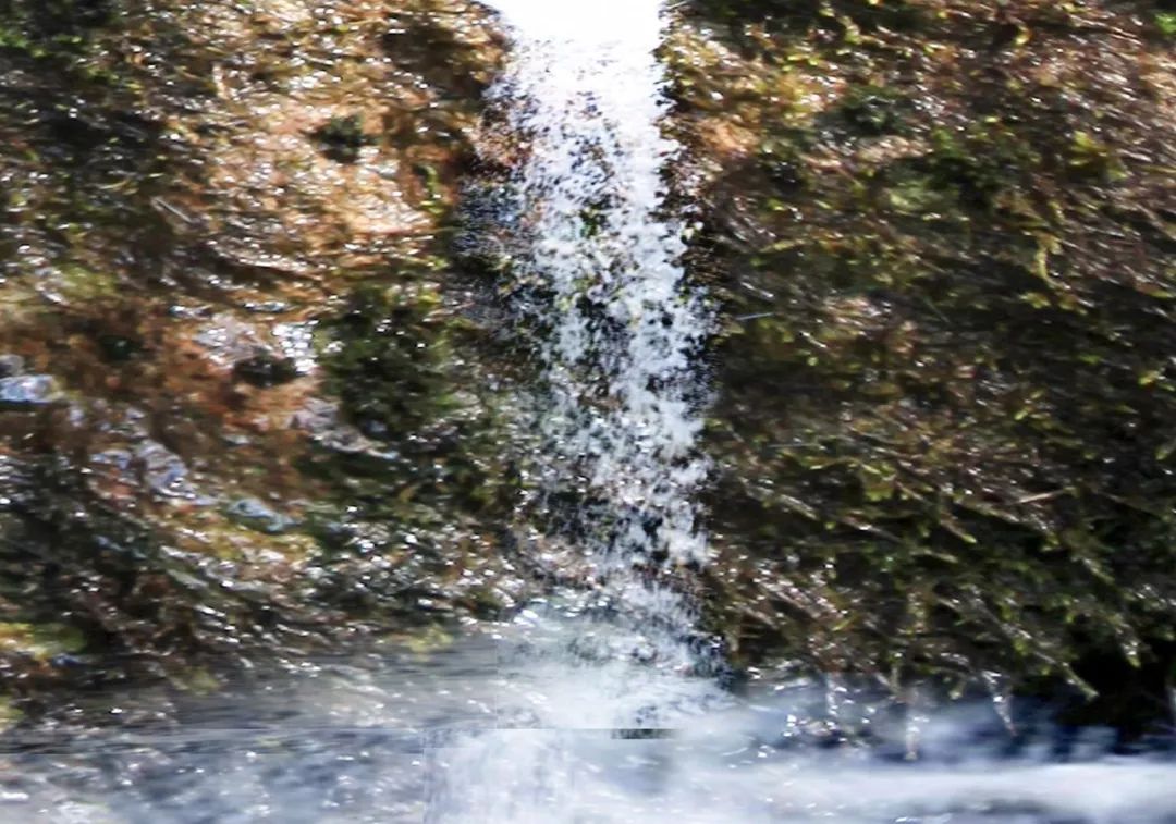 阿里河山泉水，清甜甘冽，喝上伊勒呼里的泉水心醉神迷