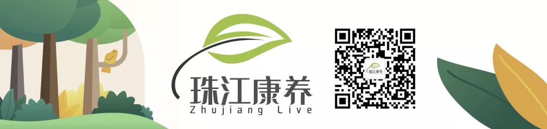 香烟的几种常见类型,什么样的香烟带紫色