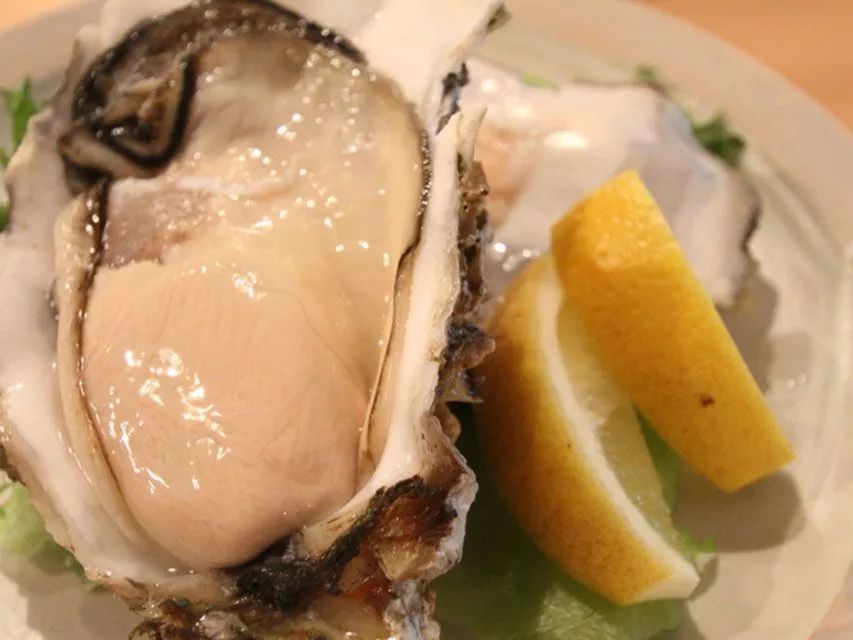 京都精酿,京都精酿酒