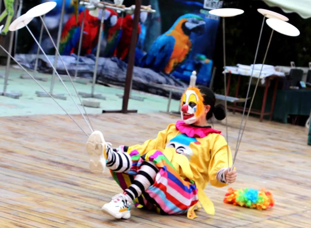 十一国庆节动物王国表演时间表,假期动物世界表演