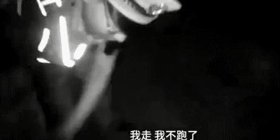 早安山东新闻今天内容,早安山东今天新闻