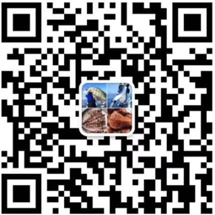 渔家女揭露海鲜市场黑幕,渔家女直播回放