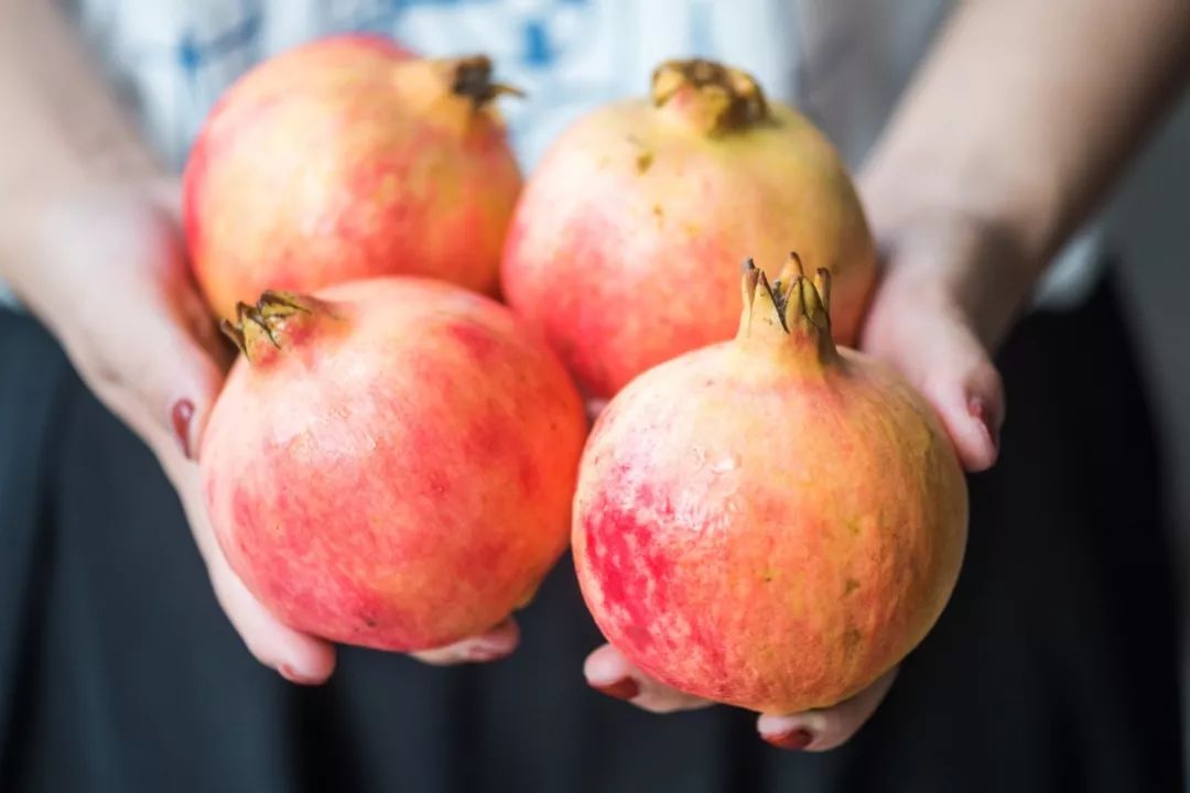 突尼斯软籽石榴特价出售,突尼斯软籽石榴三年苗多少钱一棵