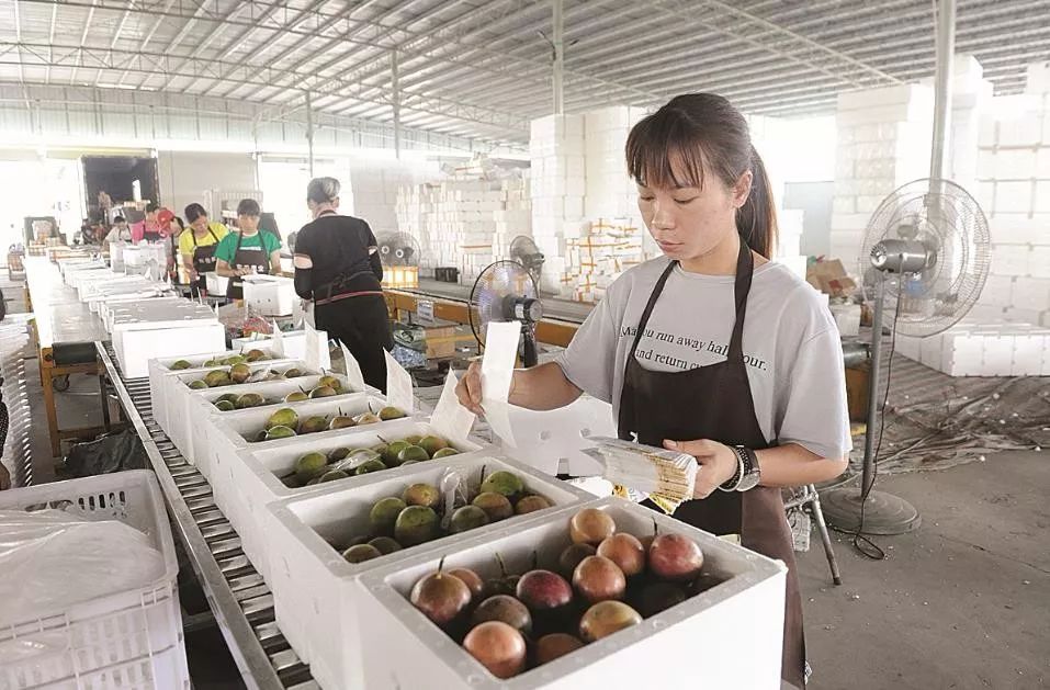 壮丽七十年奋斗新时代视频,壮丽70年奋斗新时代总结