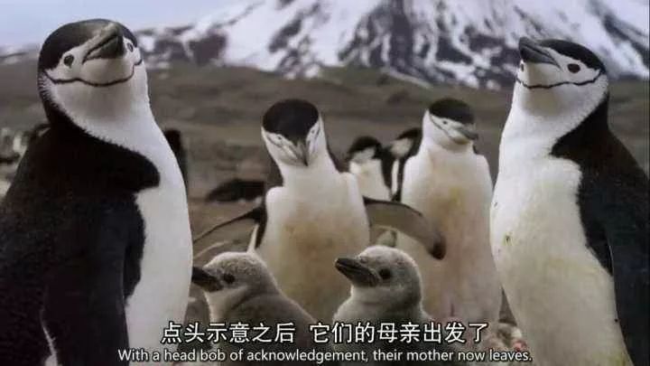 顷波周末活动大放送︱周五免费观影+周六免费英文课