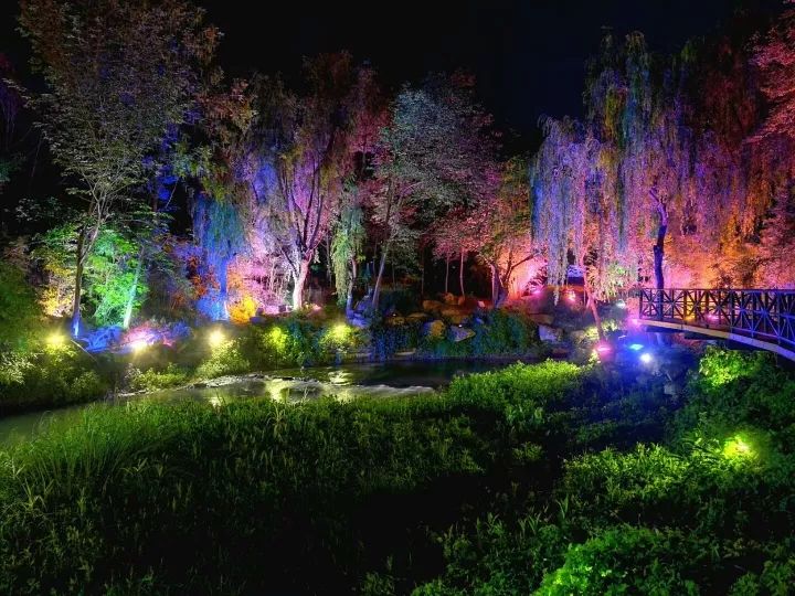 1130什么星座,白桥是什么星座