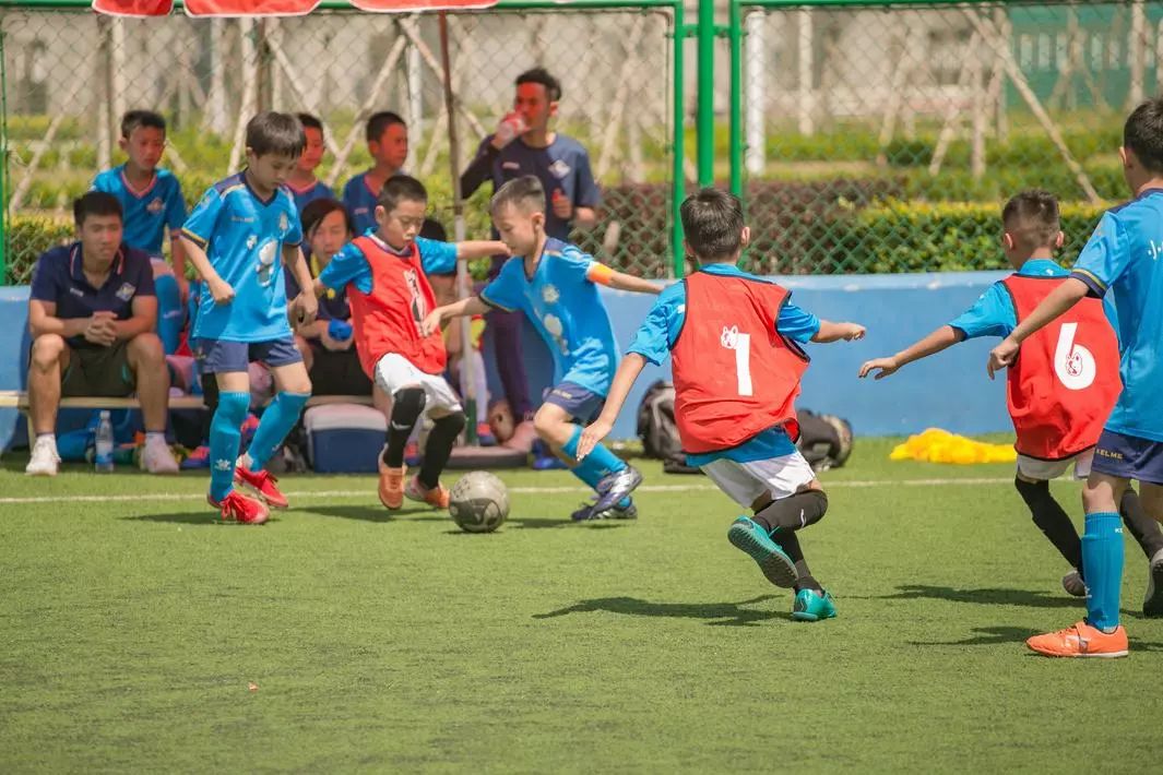 鲁能足校的青训模式,一群门外汉