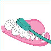 牙到底横着刷还是竖着刷,刷漆横着刷还是竖着刷