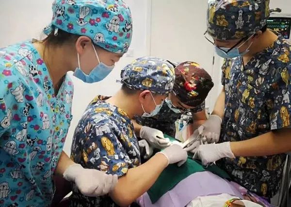 袁林天儿童口腔医院,袁林天儿童口腔医院视频