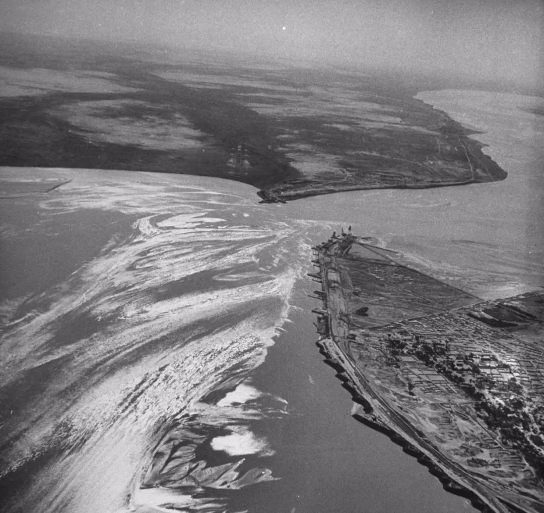 一送最少几十吨,支援湖北的背后是世界第一硬核蔬菜大国……