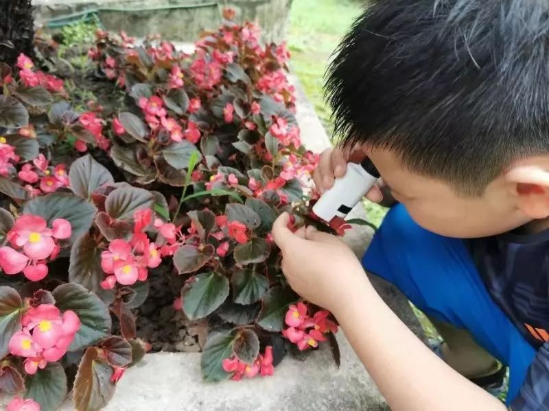 可以放大60倍的微小显微镜,显微镜最大可以放大5000倍